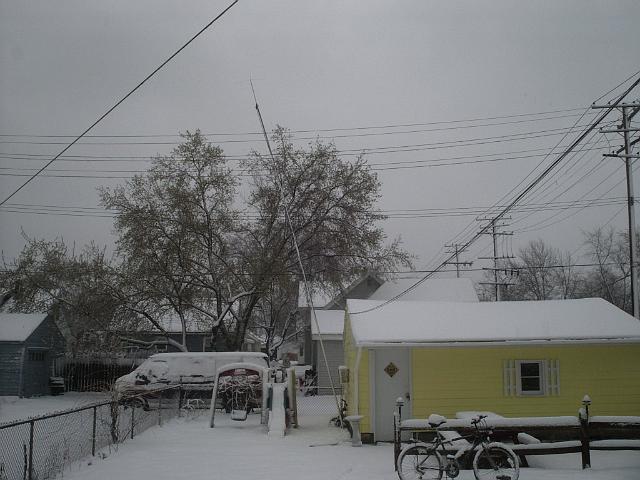 Picture 524.jpg